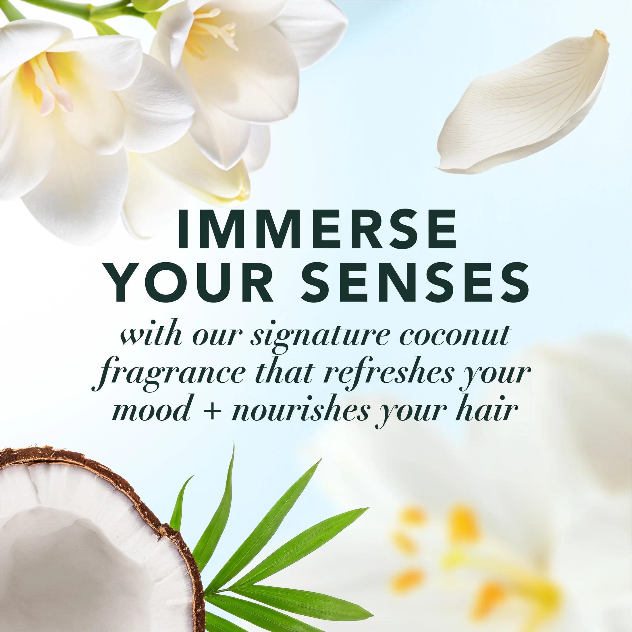 COCO CRUSH l Coconut Hair Perfume 